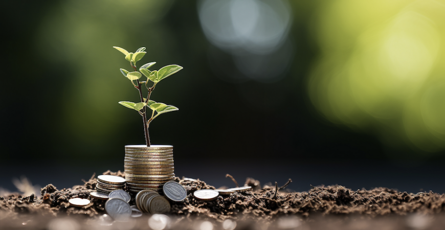 FINANCIACION DEL EMPRENDEDOR